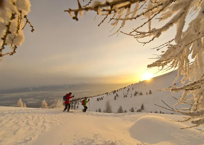 Kreinerhof - Self Check In Moeglich 3* Mollbrucke